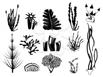 Seaweed silhouettes. Underwater river plants algae ocean botanical wildlife vector graphic symbols. Illustration seaweed nature, aquarium underwater plant