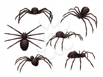 Insects realistic. Spider danger venom horror poisonous black symbols vector set. Illustration spider danger, realistic horror scary, creepy insect
