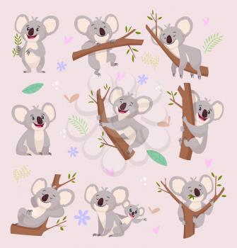 Koala characters. Wild bear australia cartoon furry animals vector illustrations. Mammal koala on wood green smile