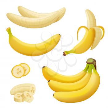 Banana fruits. Exotic desserts natural tropical plants vector healthy food bananas. Illustration banana fruit ingredient, plant food tropical