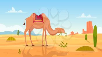Desert background. African landscape with group of camels outdoor wasteland vector cartoon picture. African travel landscape, transportation camel illustration