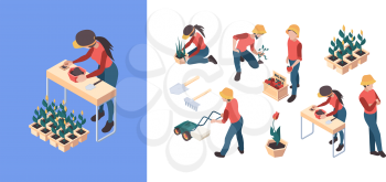 Agriculture isometric. Farmers and gardeners people gathering weeding vegetables farm animals farming vector persons outdoor work. Isometric farmer garden, agriculture and farming illustration