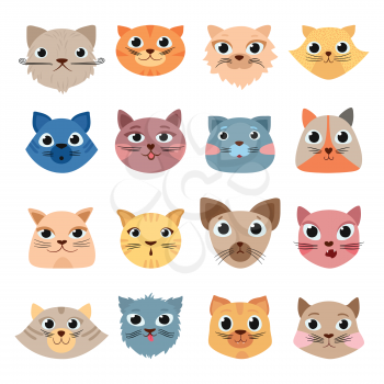 Cats heads. Cute funny domestic animals colored heads happy faces expressive emotions vector set. Cat animal, pet funny set face illustration