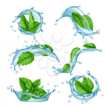 Fresh water mint. Liquid splashes with green menthol leaf for drink vector realistic collection. Illustration of menthol leaf and mint fresh