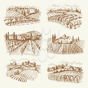 Vineyard landscape. France or italy vintage village wine vineyards vector hand drawn illustrations. Winery landscape drawing, farm agriculture grape