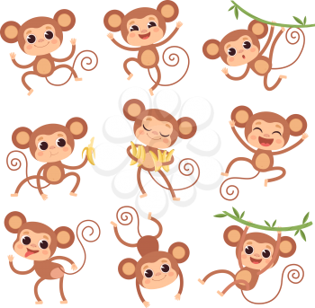 Baby monkey. Wild cartoon animals playing and eating banana vector characters of monkeys. Monkey and primate character with banana illustration