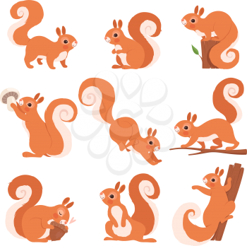 Cartoon squirrel. Funny forest wild animals running standing and jumping vector squirrel clip art collection. Squirrel wild, wildlife animal mammal illustration