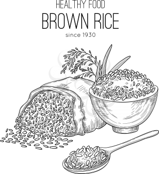 Rice hand drawn. Agricultural background with sacks grains wheat healthy natural organic food white rice plants vector. Illustration rice in sack, grain seed sketch