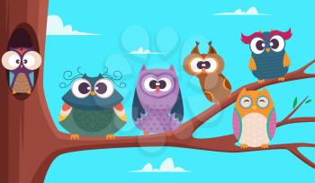Owls branches. Cute funny group of wild baby birds sitting on branches tree big expression cartoon eye vector background. Owl bird animal, cute cartoon wild happy illustration