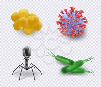 Viruses. Biology infection bacteria cells bacillus ncov microorganism vector science realistic symbols collection. Microscopic bacterium, cell and flu, microbe and virus illustration