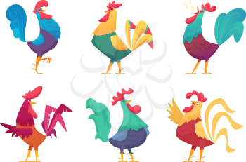Rooster cartoon. Chicken farm male birds with colored feathers vector characters in different poses. Chicken and rooster farm, cartoon animal and hen mascot illustration