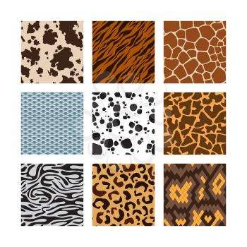 Animals skin pattern. Zoo seamless backgrounds collection of zebra tiger giraffe snake skins vector set. Safari zoo wildlife, africa jungle decoration fur illustration