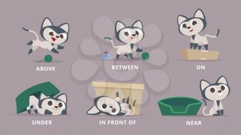 Prepositions. Cat playing with box learning english prepositions on under above near behind preschool grammar vector animal. Education english position, cartoon animal pose illustration