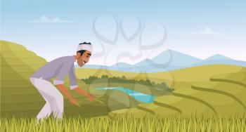 Indian agriculture landscape. Farmer working in indian rice fields rural worker vector cartoon background. Illustration indian agricultural, plantation landscape
