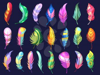 Beauty feathers. Colored birds texturized soft feathers tribal ornamental illustrations. Bird feather design, wing color texture pattern