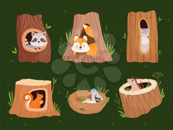 Animals hollow. Wood forest trees with holes for wild animals houses vector cartoon collection. Wildlife raccoon and squirrel, bird nest home illustration