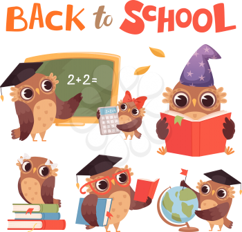 Cartoon owls. Cute clever forest birds with books vector set. Illustration bird owl education, school teacher and students