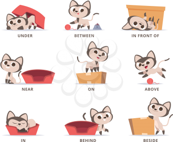 Learning english prepositions. Preschool grammar cute kitty playing with box prepositions on above under near in and on vector set. Illustration english education language, preposition for position
