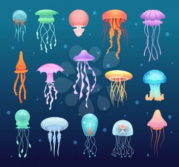 Underwater jellyfish. Beautiful magic water jelly swimming animals vector collection. Jellyfish for aquarium and aquatic underwater wildlife illustration