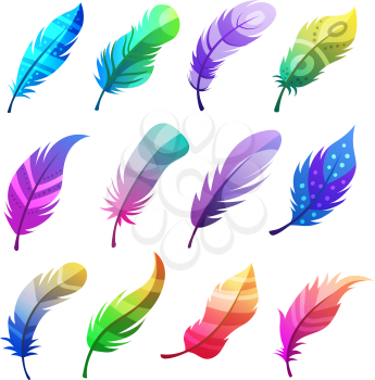 Feather colored. Stylized decorative tribal ornaments on feathers of birds vector illustrations set. Tribal feather stylized decoration, doodle wing ornamental