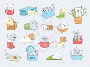 Cat in cups. Relaxing cute little kitty hide in cup or slippers vector funny illustrations. Cute kitty animal hide in socks and slippers collection