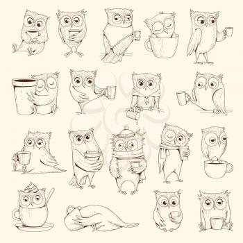 Owls with cup. Sleep concept birds characters sitting on coffee cups vector illustrations. Bird owl sleep drawing, doodle humor line emotion
