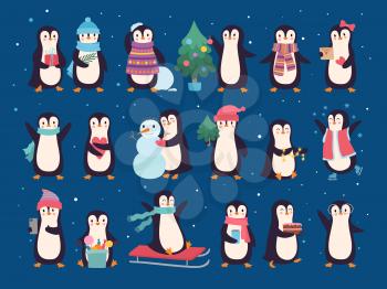 Winter penguins. Cute wild baby characters north pole animals penguins in sweater and scarf vector set. Antarctica penguin wildlife, decembers holiday illustration