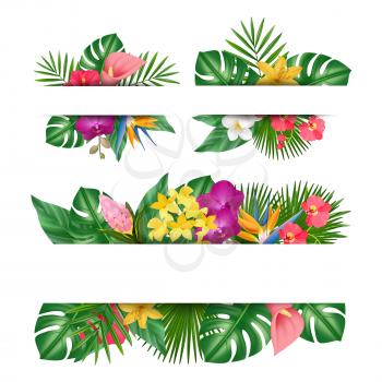 Exotic flowers banner. Tropical leaves, jungle plants and flower blank flyers vector set. Illustration blossom bloom, branch green and flowers