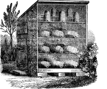 Antique vector drawing or engraving of apiary yard or shelter with classic old style bee hives or beehives or skeps.Illustration from book Illustrierter Neuester Bienenfreund, printed in Leipzig, Germany 1852.