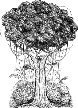 Vector carton digital pen and ink illustration of generic tree and bushes from rain forest.