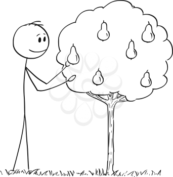 Cartoon stick drawing conceptual illustration of man picking fruit from small pear tree.