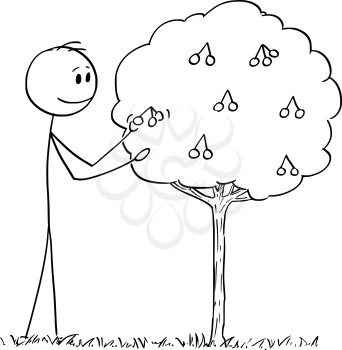 Cartoon stick drawing conceptual illustration of man picking fruit from small cherry or morello or sour cherry tree.