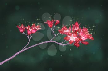 Digital painting of subtle red flowers covered by water drops on dark green background.