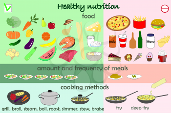 infographic food - healthy food and fast food
