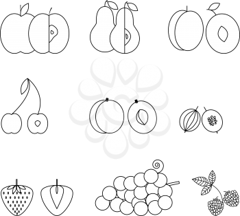 Fruit icons, thin line style, flat design. Set of traditional summer earopian fruits
