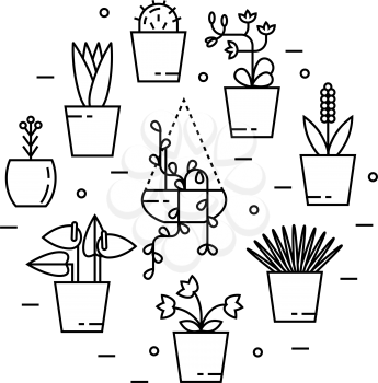 Set of house plant isolated vector flat illustration in round shape. Outline house plants in pots.