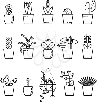 Set of house plant isolated vector flat illustration. Outline house plants in pot.