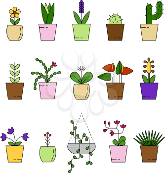 Set of house plant isolated vector flat illustration. Outline house plants in pot.
