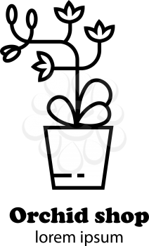 Vector illustration of an orchid flower in pot, flower shop logo design, orchid gallery logo, flower icon outline.