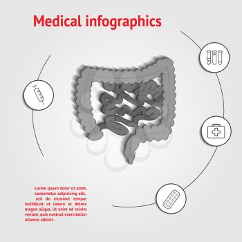 Intestines infographics medical template with space for text