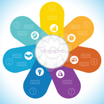 Flower Camomile infographic template colourful petals seven positions.