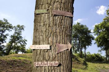 Tree in the woods with signs in Serbian language on it
