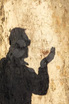 Mans Shadow On A Tree Trunk Holding Carved Heart