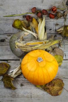 Happy Thanksgiving Day, Decoration on a wooden table with Pumpkins, Corncob and autumn leaves