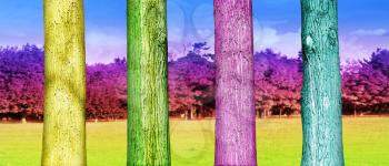 Colorfull Tree Trunks in the Park. Abstract Psychedelic Colors