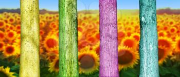 Colorfull Tree Trunks in theField. Abstract Psychedelic Colors