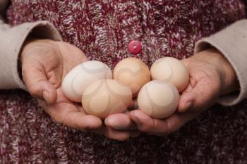 Grandmother Holds Eggs in Hands. Domestic, Organic, Natural Products and Lifestyle