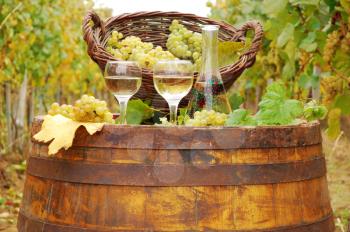 white wine on wooden barrel