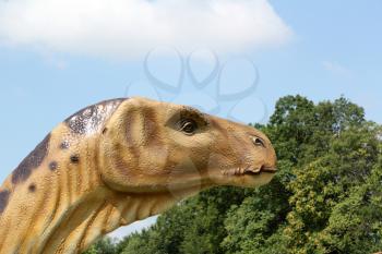 dinosaur head 