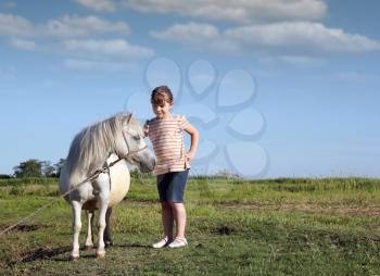 pony horse and child on pasture
